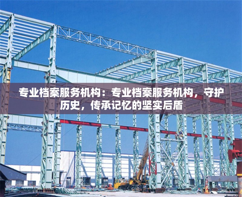 專業(yè)檔案服務機構：專業(yè)檔案服務機構，守護歷史，傳承記憶的堅實后盾 行業(yè)新聞