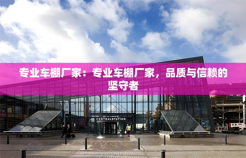 專業(yè)車棚廠家：專業(yè)車棚廠家，品質與信賴的堅守者