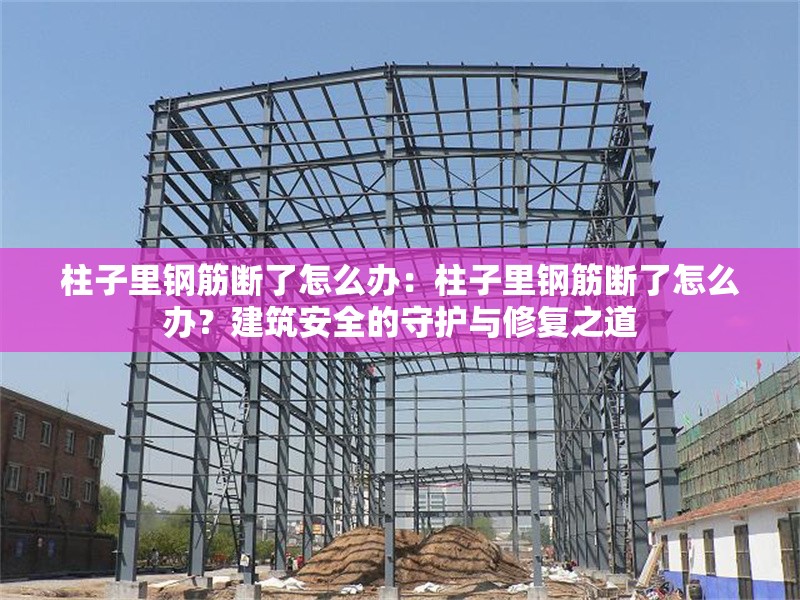 柱子里鋼筋斷了怎么辦：柱子里鋼筋斷了怎么辦？建筑安全的守護(hù)與修復(fù)之道 行業(yè)新聞