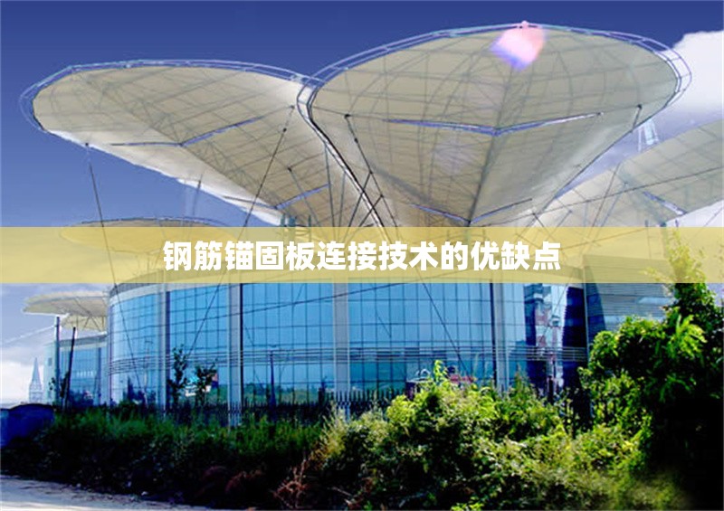 鋼筋錨固板連接技術的優(yōu)缺點 行業(yè)新聞 第1張