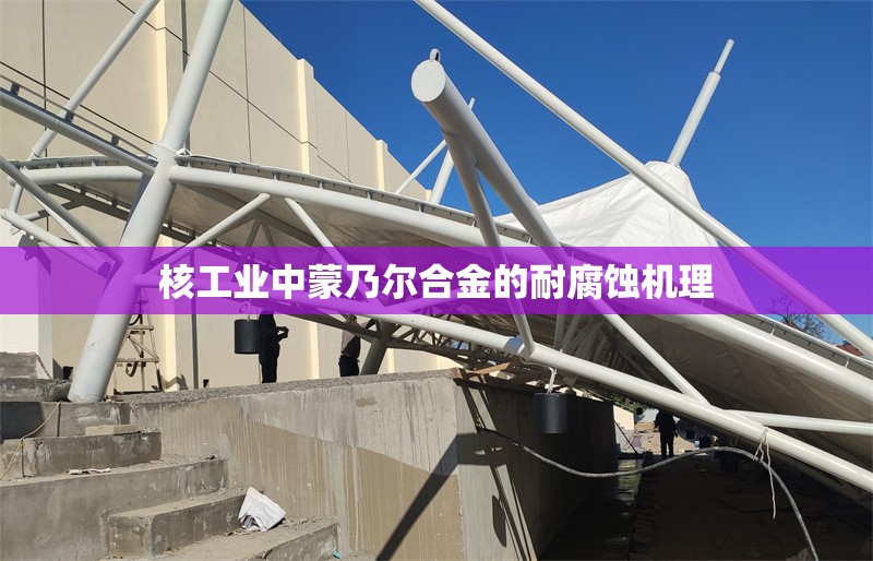 核工業(yè)中蒙乃爾合金的耐腐蝕機理 行業(yè)新聞 第1張