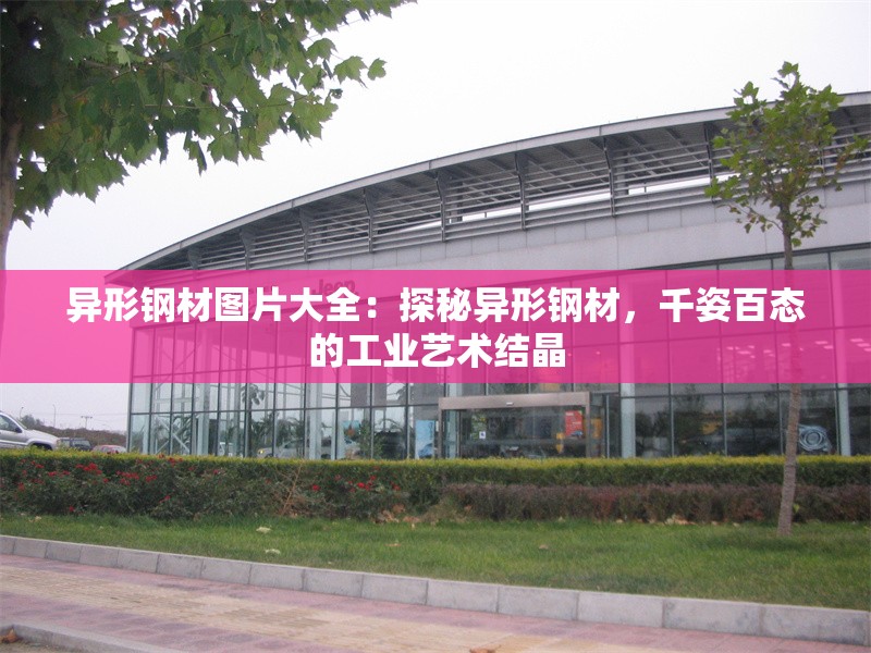 異形鋼材圖片大全：探秘異形鋼材，千姿百態(tài)的工業(yè)藝術(shù)結(jié)晶 行業(yè)新聞