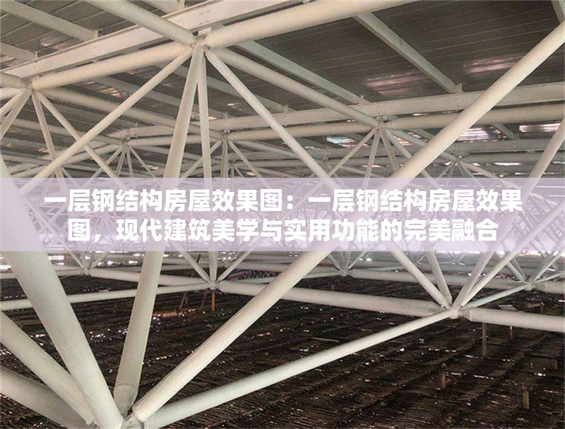 一層鋼結(jié)構(gòu)房屋效果圖：一層鋼結(jié)構(gòu)房屋效果圖，現(xiàn)代建筑美學(xué)與實(shí)用功能的完美融合 行業(yè)新聞