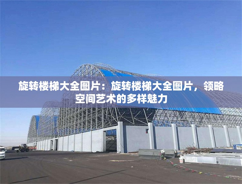 旋轉(zhuǎn)樓梯大全圖片：旋轉(zhuǎn)樓梯大全圖片，領(lǐng)略空間藝術(shù)的多樣魅力 行業(yè)新聞
