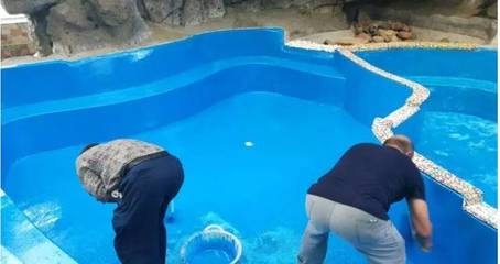 環(huán)氧樹脂膠濕度適應性研究 行業(yè)新聞 第4張