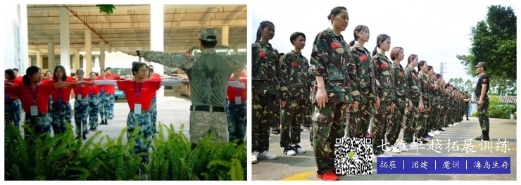 加固項目團(tuán)隊建設(shè)技巧，加固項目團(tuán)隊建設(shè)，實用技巧與策略