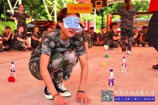 加固項目團隊建設技巧，加固項目團隊建設，實用技巧與策略 行業(yè)新聞 第2張