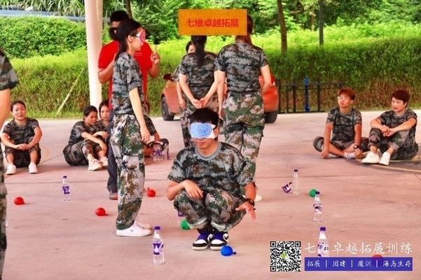 加固項目團隊建設技巧，加固項目團隊建設，實用技巧與策略 行業(yè)新聞 第3張