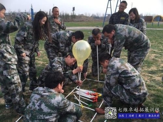 加固項目團隊建設技巧，加固項目團隊建設，實用技巧與策略 行業(yè)新聞 第4張