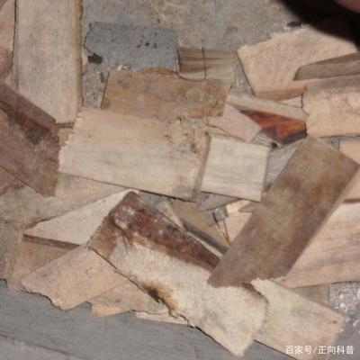 加固材料成本控制方法，加固材料成本控制方法，策略、技巧與實踐要點詳解