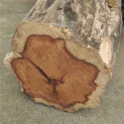 如何檢測罩面漆VOC含量，罩面漆VOC含量檢測方法及要點 行業(yè)新聞 第1張