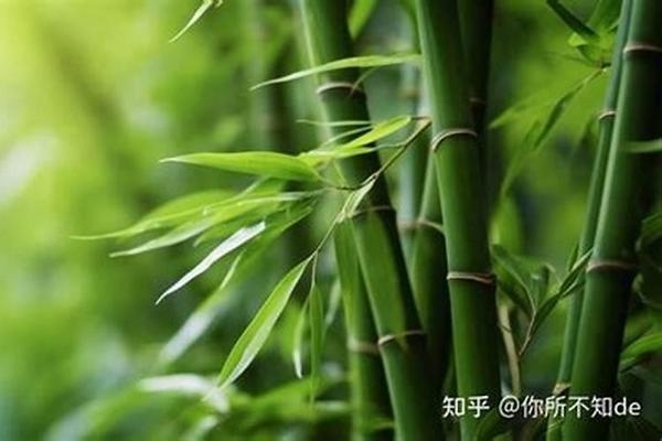 如何在廠房布局中融入環(huán)保理念，廠房布局中環(huán)保理念的融入策略與