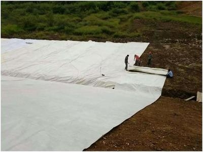 生物基復(fù)合材料加固案例，生物基復(fù)合材料加固案例，創(chuàng)新應(yīng)用與 行業(yè)新聞 第3張