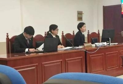 建筑加固項(xiàng)目案例分析，建筑加固項(xiàng)目案例深度剖析與實(shí)踐啟示，建筑加固項(xiàng)目案例深度解析與實(shí)踐啟示