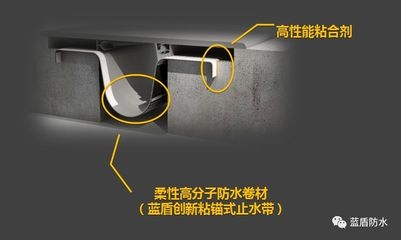 墻體加固技術(shù)創(chuàng)新案例，墻體加固，創(chuàng)新技術(shù)下的變革案例 行業(yè)新聞 第4張