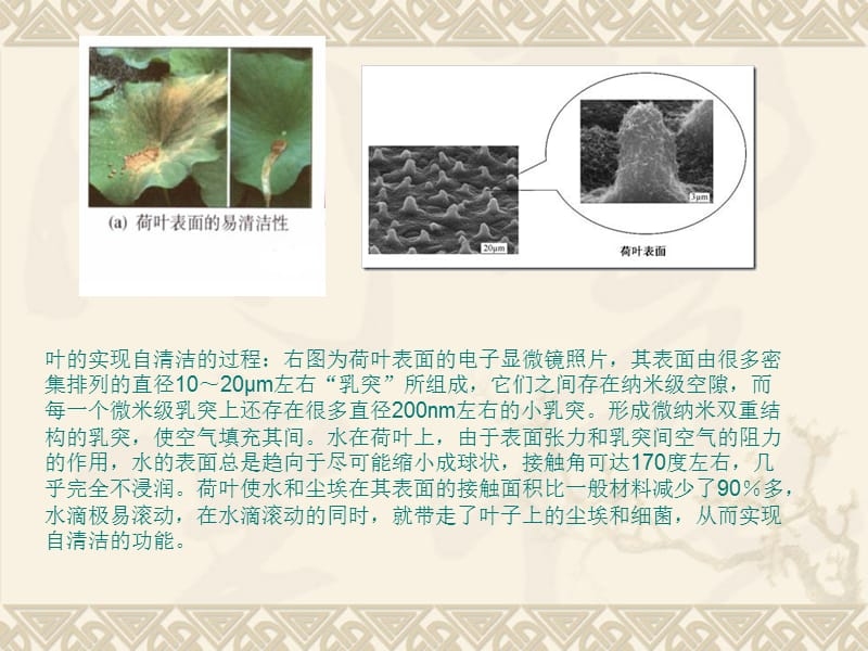 納米材料加固技術(shù)原理，納米材料加固技術(shù)原理，微觀機(jī)制與宏觀應(yīng)用的深度解析