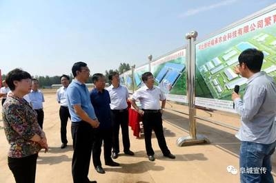 面試常見(jiàn)問(wèn)題及應(yīng)對(duì)策略，面試常見(jiàn)問(wèn)題及應(yīng)對(duì)策略，解鎖求職成功