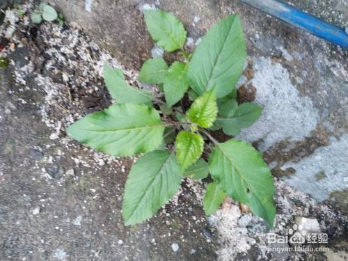 不同焊接位置預(yù)熱溫度差異，不同焊接位置預(yù)熱溫度 行業(yè)新聞 第1張