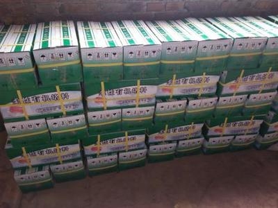 防火泥品牌質(zhì)量對比分析，防火泥品牌質(zhì)量大比拼，深度 行業(yè)新聞 第2張