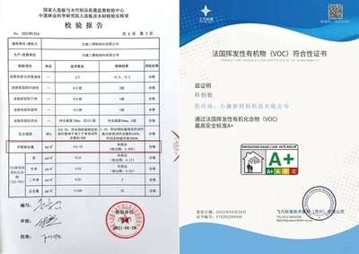 法國(guó)A 認(rèn)證對(duì)VOC的要求，法國(guó)A認(rèn)證中關(guān)于VOC的具體要求解析 行業(yè)新聞 第4張