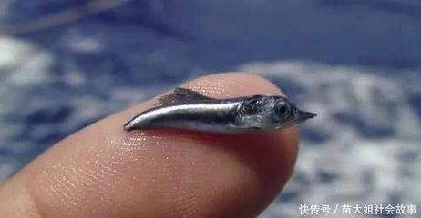 鋼板體積計(jì)算的實(shí)際應(yīng)用案例，鋼板體積計(jì)算，從理論到實(shí)際應(yīng)用案例 行業(yè)新聞 第3張