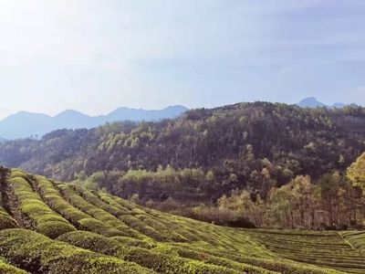 湖北致中和客戶評(píng)價(jià)，湖北致中和，客戶眼中的真實(shí) 行業(yè)新聞 第2張