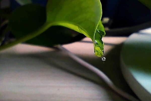 包鋼集團智能化轉型案例，包鋼集團，智能化轉型的卓越典范 行業(yè)新聞 第2張