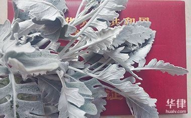 房屋質(zhì)量問題投訴流程，房屋質(zhì)量問題投訴，流程 行業(yè)新聞 第3張