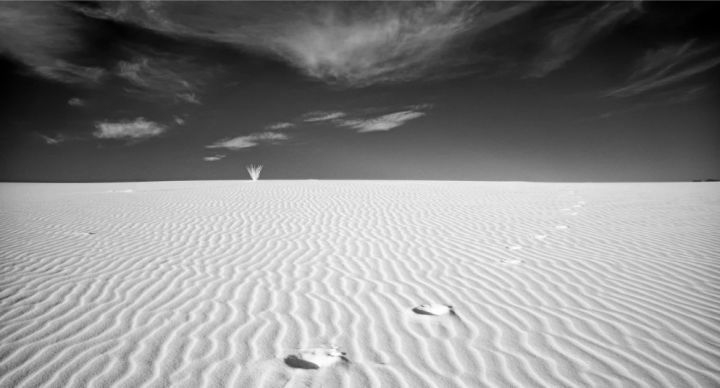 不銹鋼與碳鋼的成本比較，不銹鋼與碳鋼成本對(duì)比，從原材料到應(yīng)用的深度剖析 行業(yè)新聞 第5張