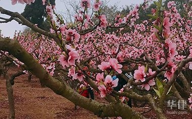 集體土地非農(nóng)建設(shè)的法律后果，集體土地非農(nóng)建設(shè) 行業(yè)新聞 第2張