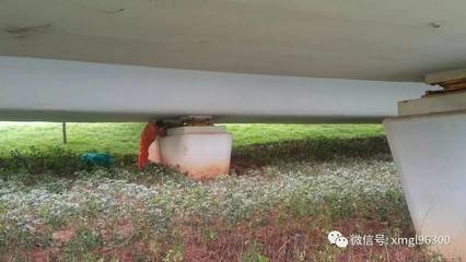 鋼板加固的防腐處理方法，鋼板加固的防腐處理，方法與要點 行業(yè)新聞 第2張