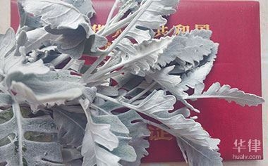 廠房產權變更登記指南，廠房產權變更登記，流程、材料與 行業(yè)新聞 第1張