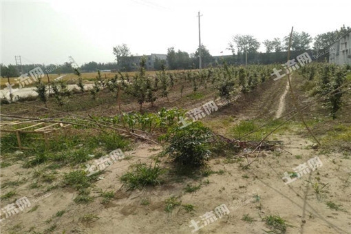 不動產(chǎn)登記常見問題解答，不動產(chǎn)登記常見問題全解析 行業(yè)新聞 第5張