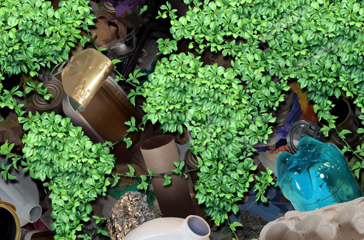 鋼柱加固材料的生物降解性研究，鋼柱加固材料生物降解性探究