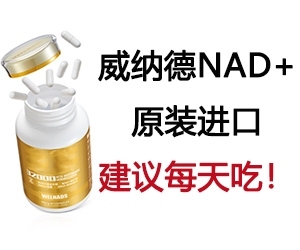 包鋼無縫鋼管產(chǎn)品高端化案例，包鋼無縫鋼管，高端化產(chǎn)品的卓越之路，包鋼無縫鋼管產(chǎn)品邁向高端的華麗蛻變，包鋼無縫鋼管，高端化發(fā)展的成功范例 行業(yè)新聞 第6張