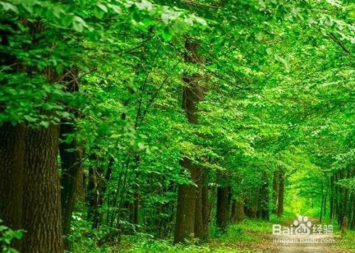 廠房綠化對(duì)環(huán)境的具體益處，廠房綠化對(duì)改善環(huán)境的五大具體益處 行業(yè)新聞 第2張