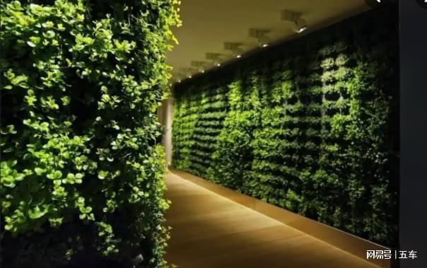 加固后墻體植物影響評估，加固后墻體植物生長影響評估報告 行業(yè)新聞 第3張