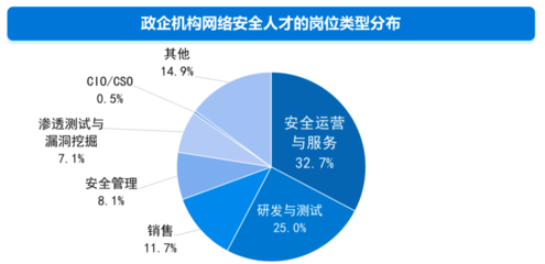 安全顧問行業(yè)熱門職位分析，安全顧問行業(yè)熱門職位分析與趨勢展望 行業(yè)新聞 第2張