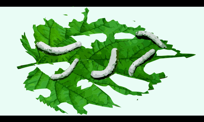 加固工程人工成本優(yōu)化策略，是基于您之前提供的加固工程相關內容生成的。若您有新的具體內容需求，可補充信息后告知，我將為您調整優(yōu)化標題。 行業(yè)新聞 第5張