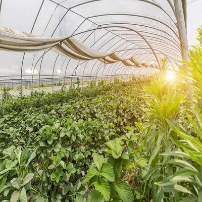 建筑病蟲害監(jiān)測技術(shù)應用，建筑病蟲害智能監(jiān)測技術(shù)應用研究 行業(yè)新聞 第4張