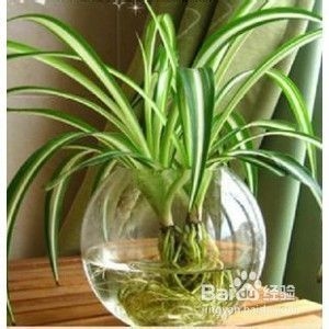 廠房室內(nèi)空氣質(zhì)量改善技巧，廠房室內(nèi)空氣質(zhì)量提升的5個(gè)實(shí)用技巧 行業(yè)新聞 第3張