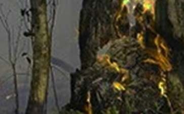 甲類廠房火災(zāi)應(yīng)急預(yù)案制定，甲類廠房火災(zāi)應(yīng)急預(yù)案制定要點(diǎn)與實(shí)施指南 行業(yè)新聞 第2張