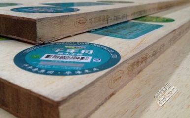 環(huán)保結(jié)構(gòu)膠粘劑選購指南 行業(yè)新聞 第5張