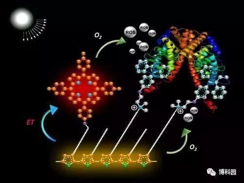 環(huán)氧樹(shù)脂兩布的耐腐蝕性能 行業(yè)新聞 第2張