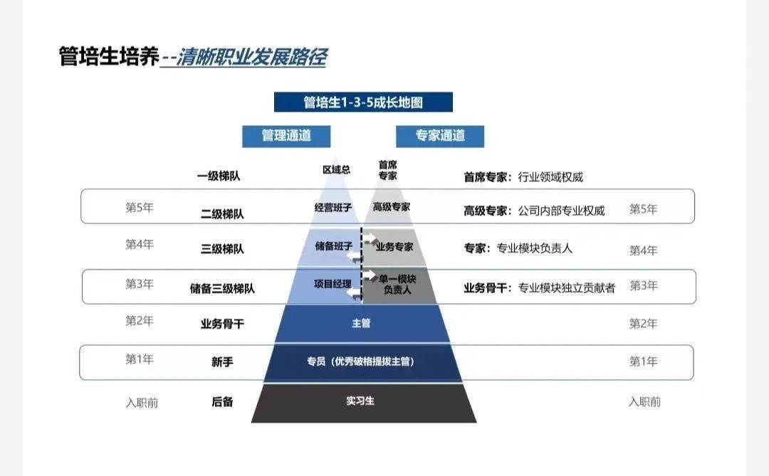 加固公司職業(yè)發(fā)展路徑 行業(yè)新聞 第4張