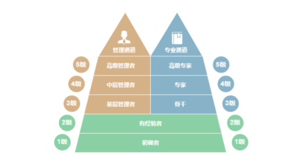 加固公司職業(yè)發(fā)展路徑 行業(yè)新聞 第5張
