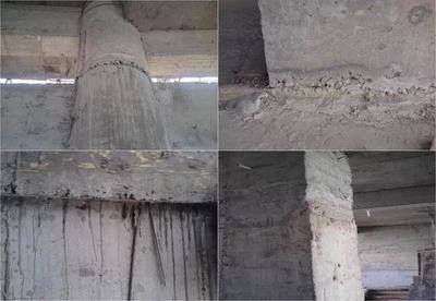 加固后建筑養(yǎng)護(hù)要點(diǎn) 行業(yè)新聞 第2張