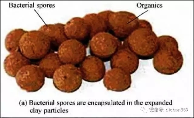 加固材料自愈合技術(shù)研究 行業(yè)新聞 第5張