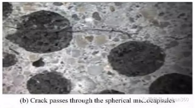 加固材料自愈合技術(shù)研究 行業(yè)新聞 第6張