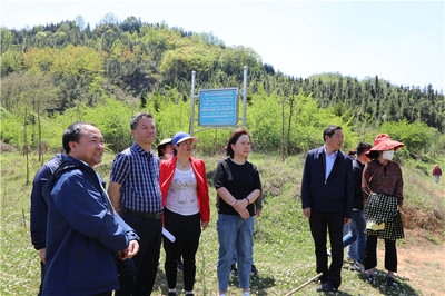 加固施工后期監(jiān)測(cè)技術(shù)應(yīng)用 行業(yè)新聞 第5張 加固施工后期監(jiān)測(cè)技術(shù)應(yīng)用 行業(yè)新聞 第5張